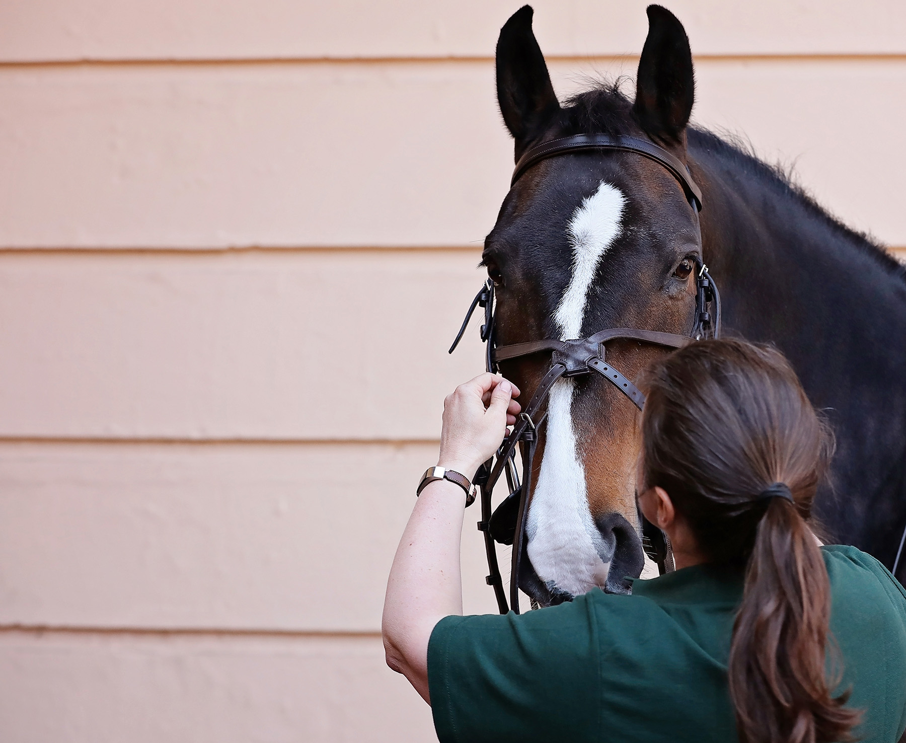 Lady and a horse