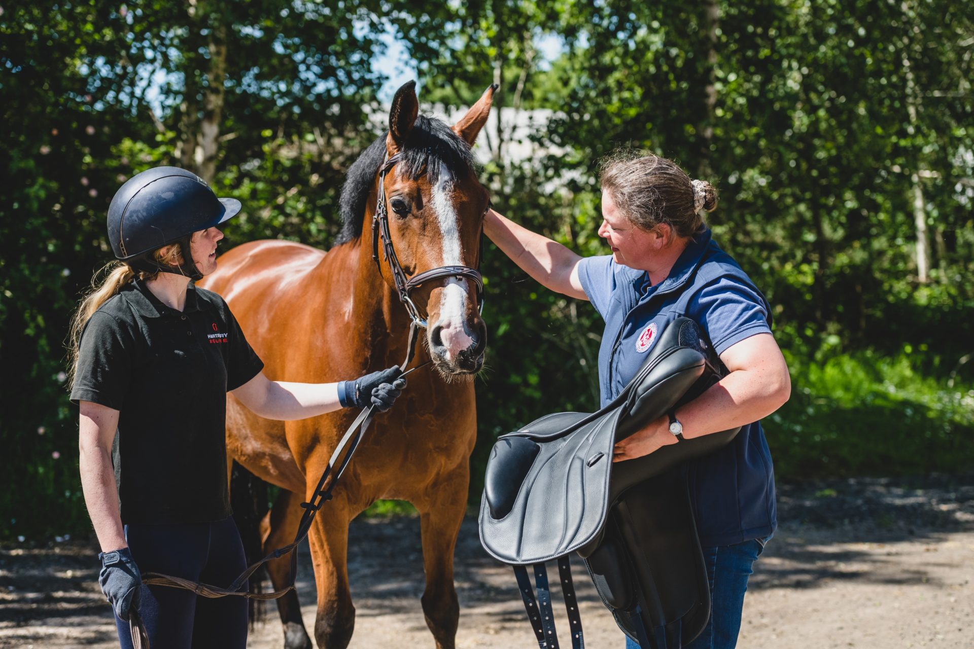 A bridle fitter and Hartpury Equine Centre staff member focus on a handsome bay horse