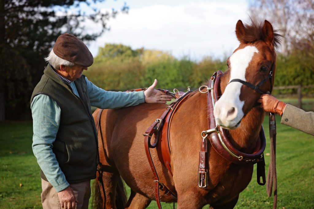 Martin Wilkinson fitting single harness to a cheeky chestnut Welsh Section C pony