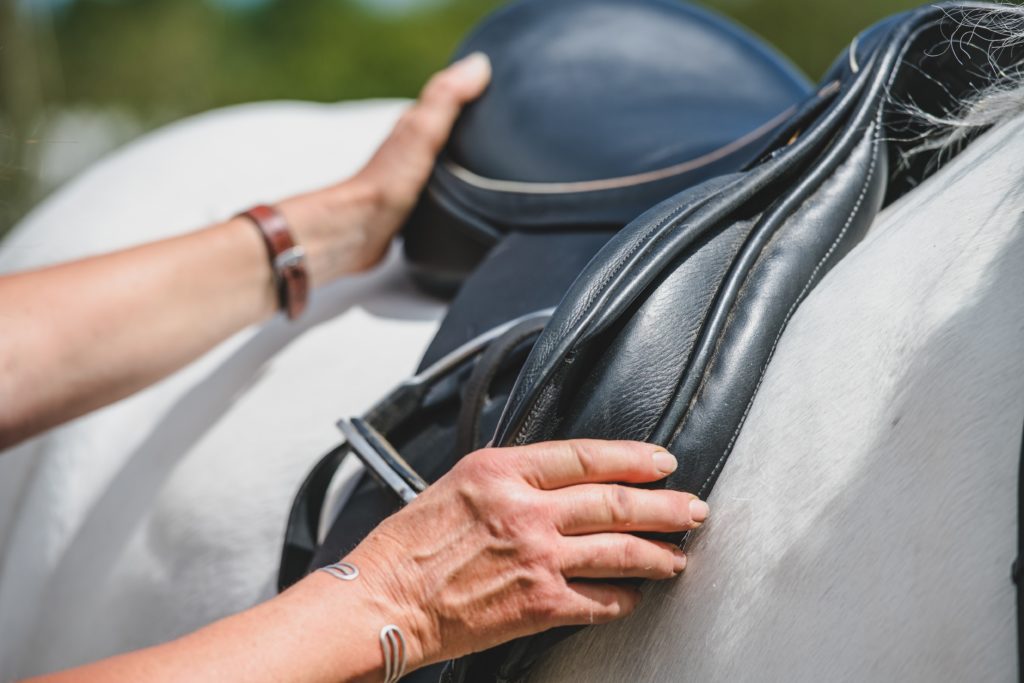 A fitter checking the balance of a black GP saddle on a grey horse