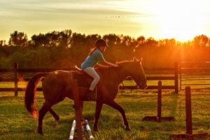 A young girl scratches her horses neck as they rider over a pole in the sunset