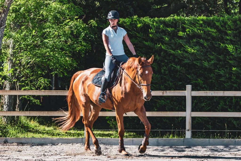 A young woman riding a chestnut horse