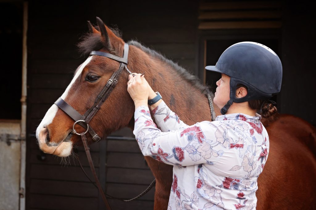 A Bridle Fitter setting up a bridle for a bay pony